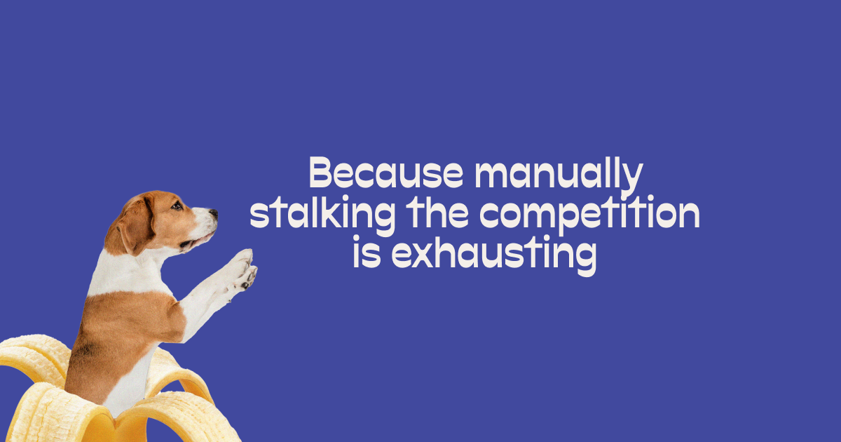 Brand Audit screenshot